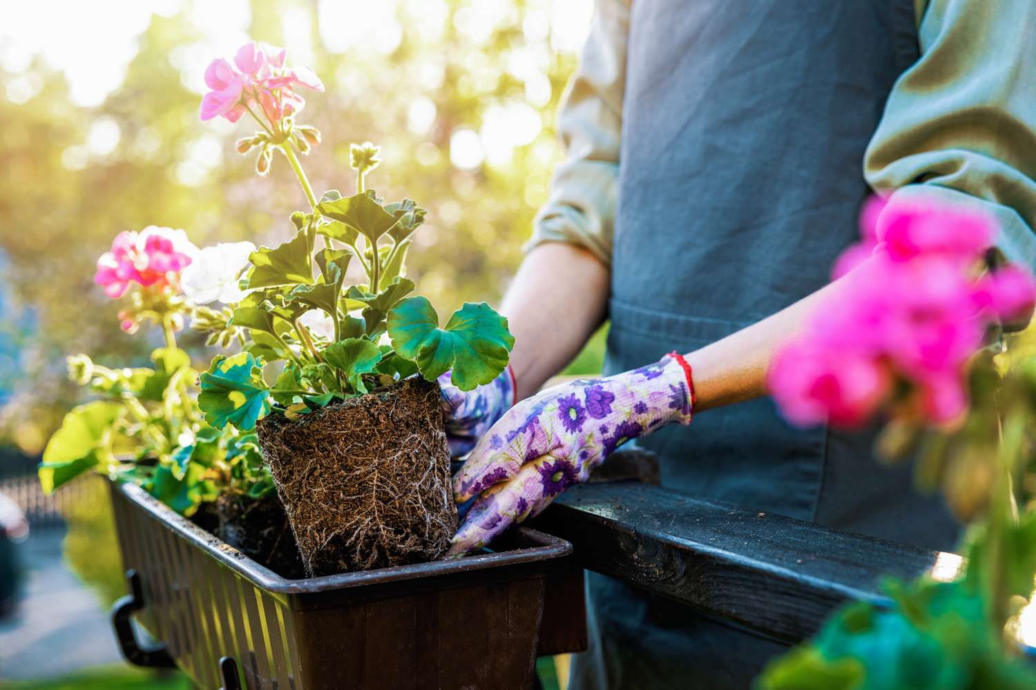 28 Gardening Terms Beginners Should Know