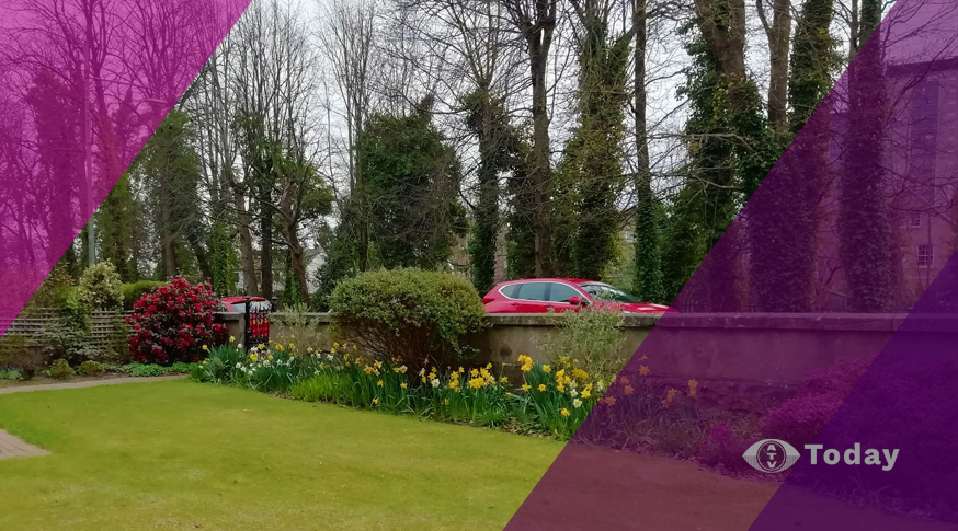 The ‘best vegetables to grow in pots’ – ATV Today