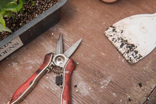 Statewide honors celebrate Oregonโs Master Gardener volunteers
