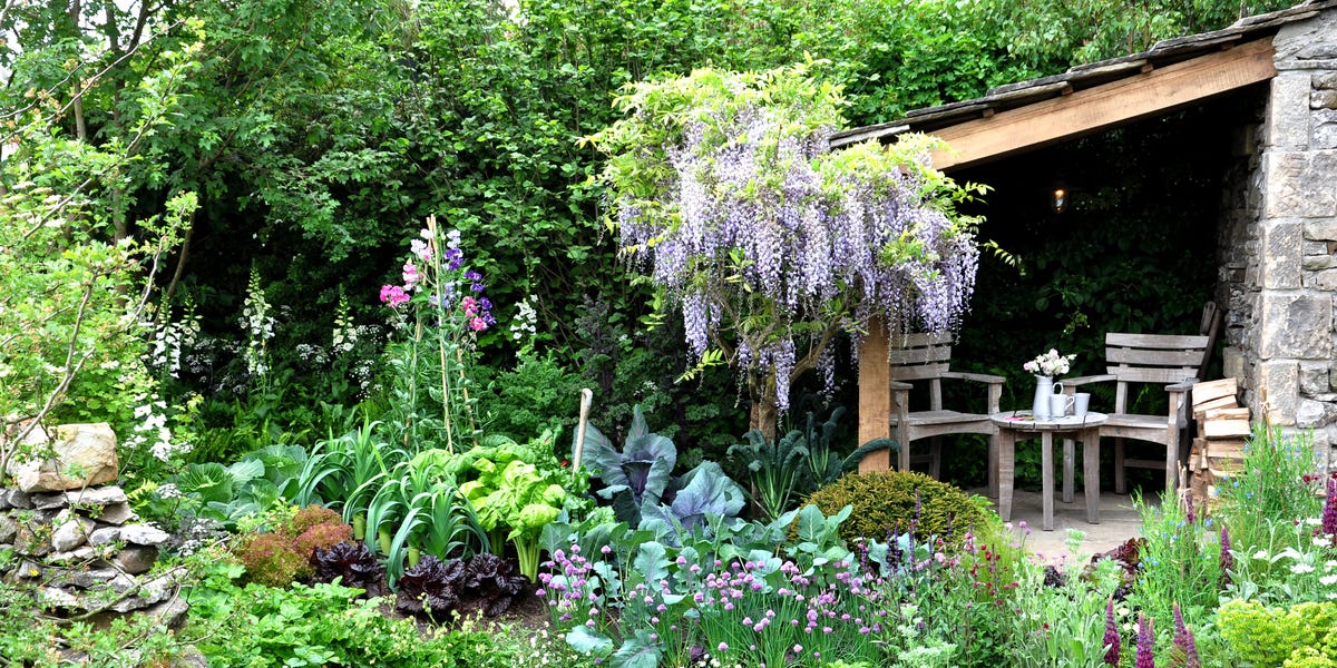 everything you need to know