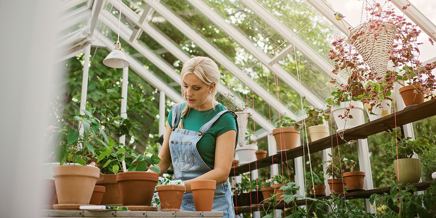 How to buy the best greenhouse