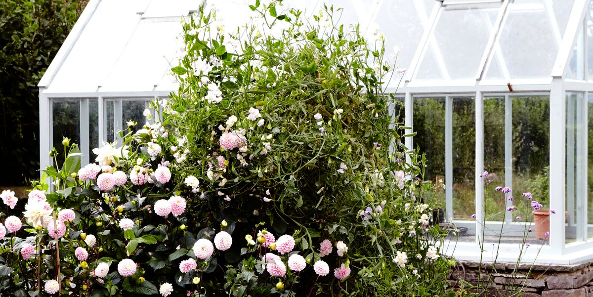 5 Greenhouse Trends Set To Lead The Way In 2025