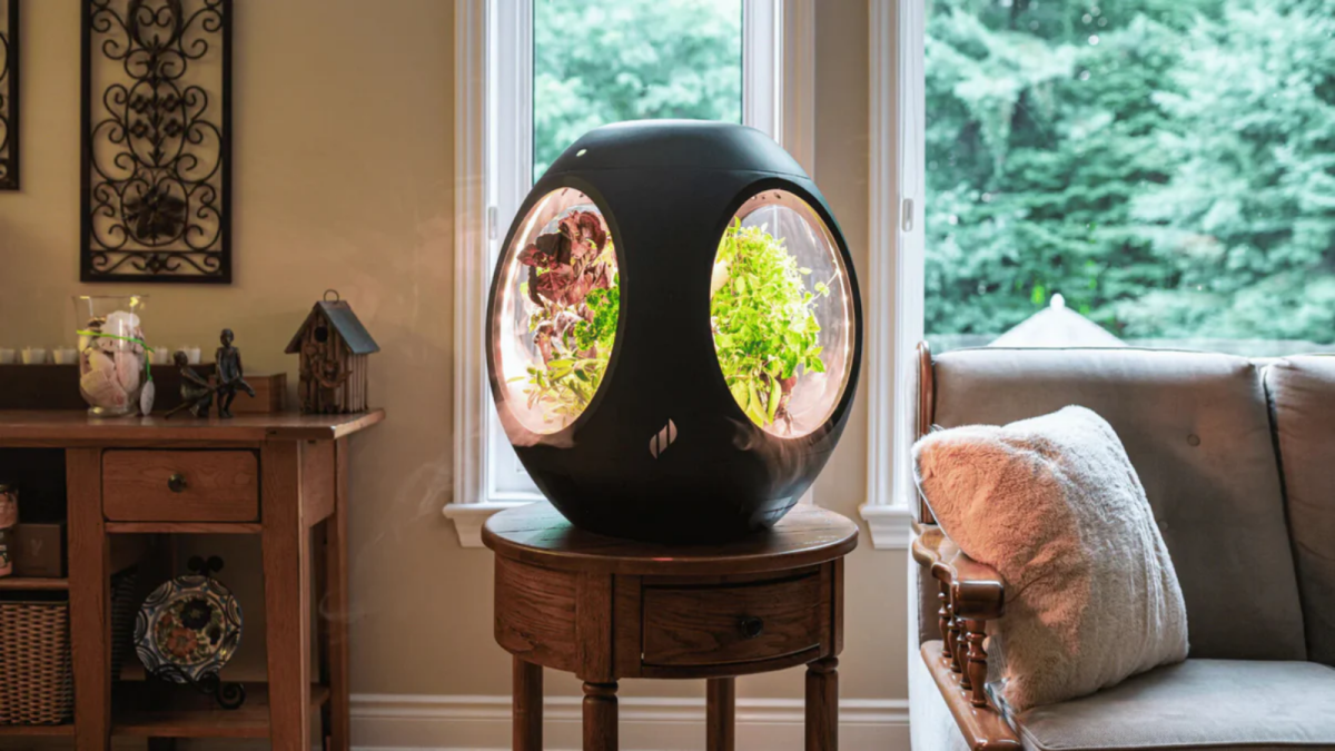 CES 2025: The Plantaform smart indoor garden grows plants with fog