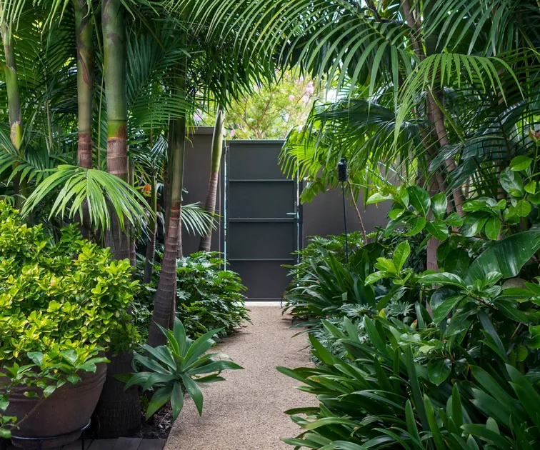 Tropical Garden Design: How To Create A Lush Tropical Garden