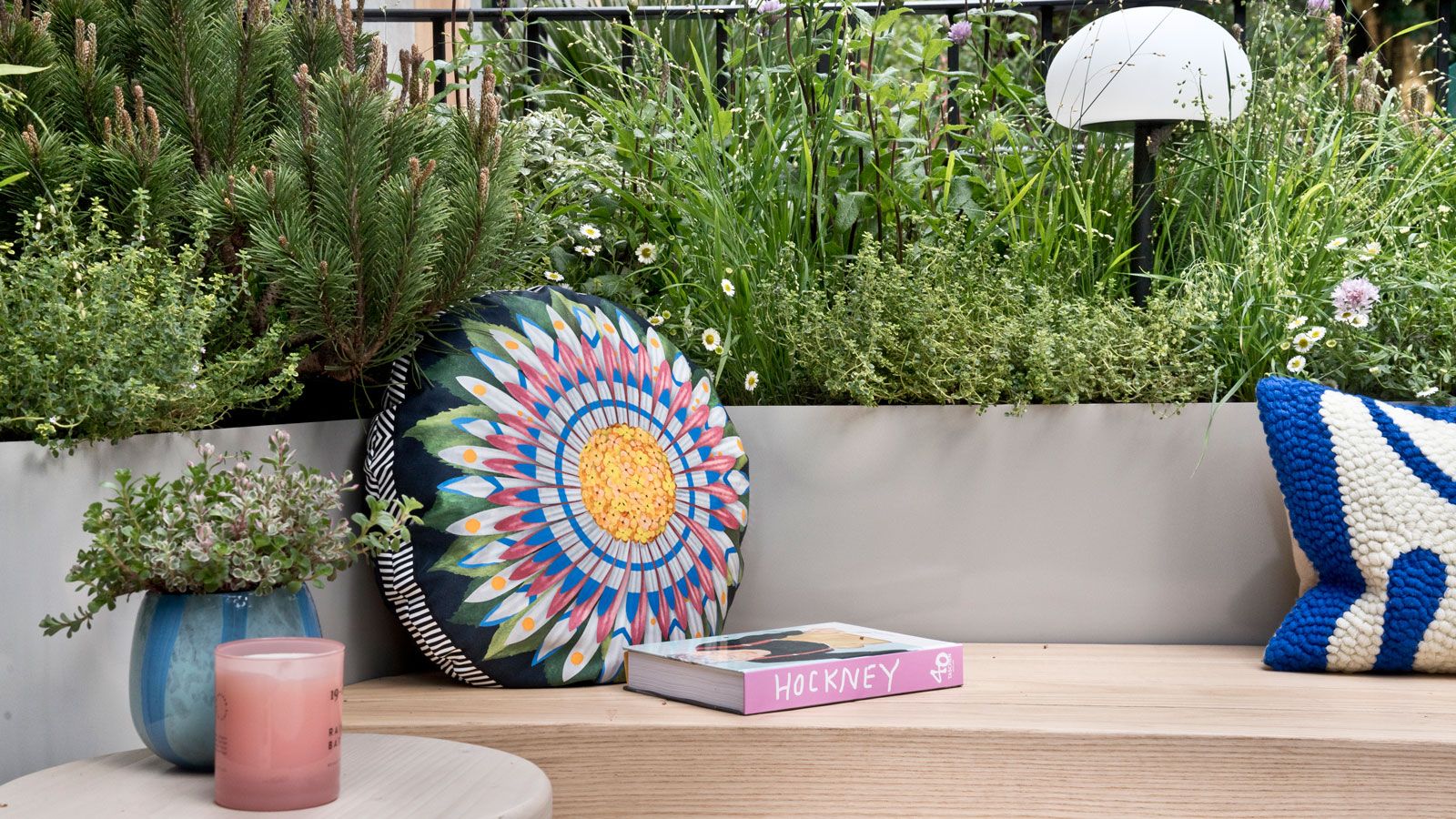 Best plants for a courtyard garden: 8 stunning ideas