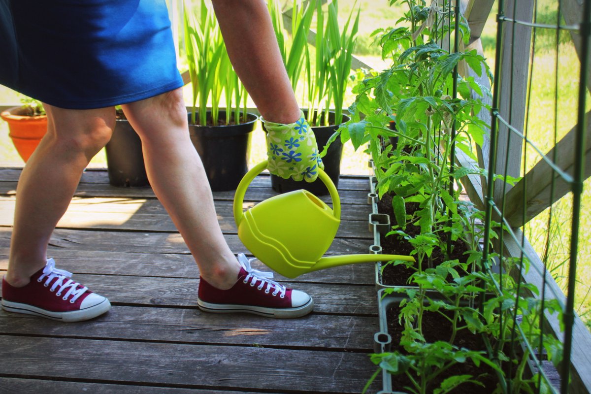Gardening for Beginners: 10 Tips for Getting Started