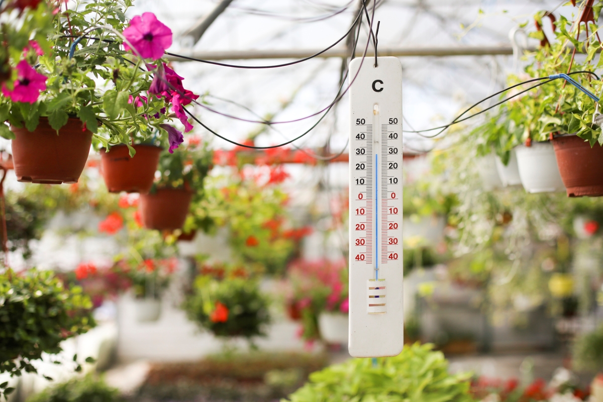 8 Ways to Garden in the Cold