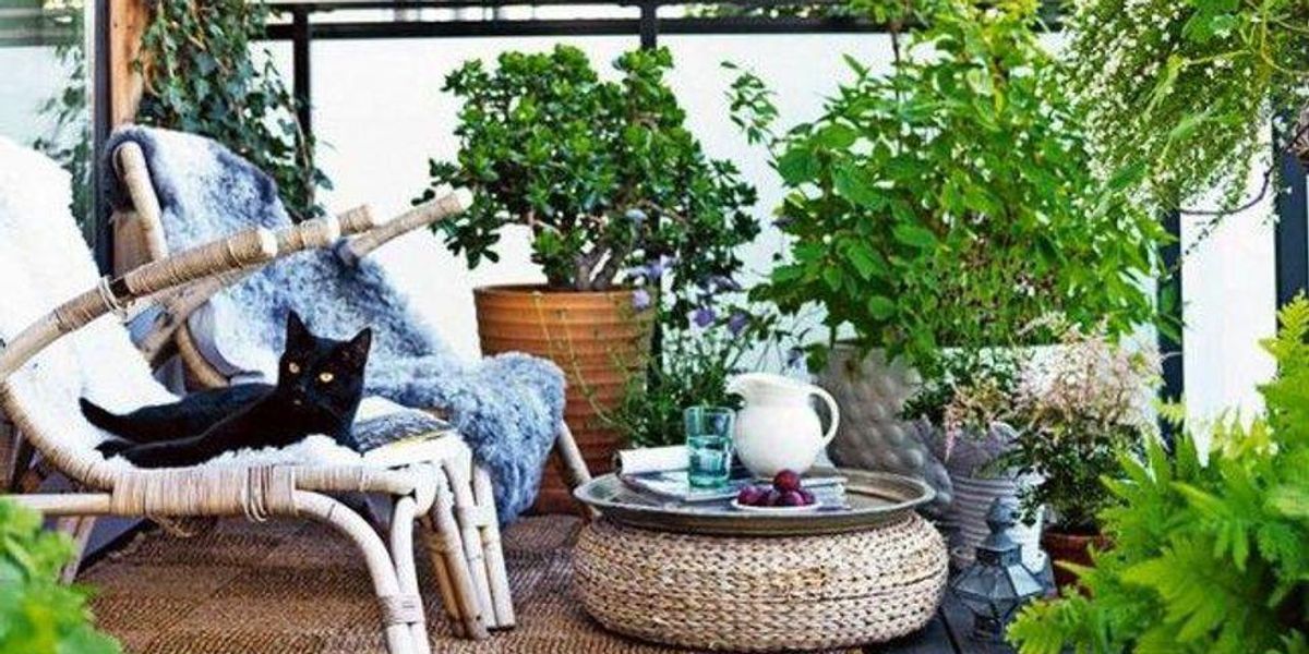 14 Tiny Outdoor Garden Ideas