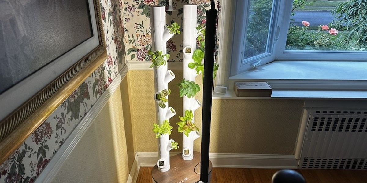 Gardyn STEM Classroom Hydroponic Garden Review