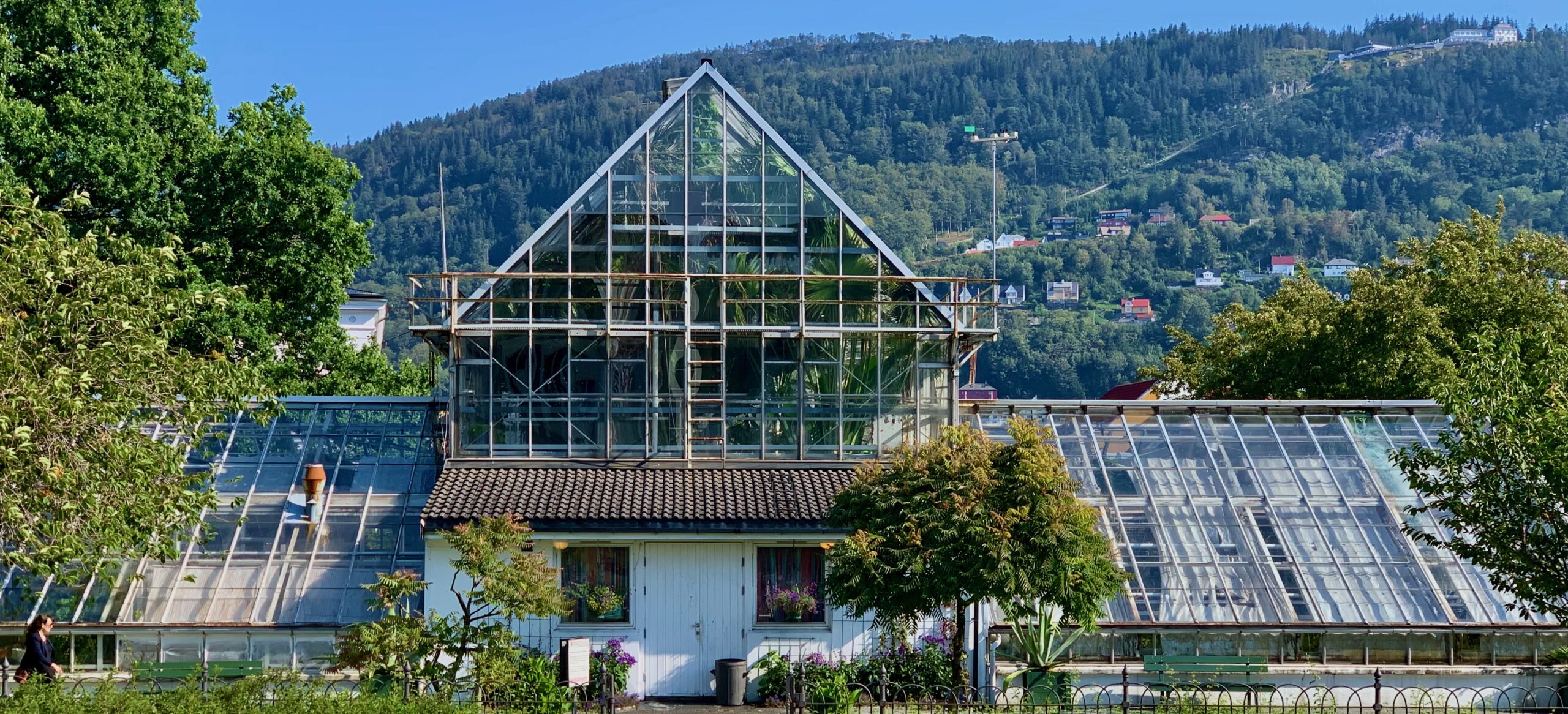 The Museum Garden Greenhouse | The University Gardens