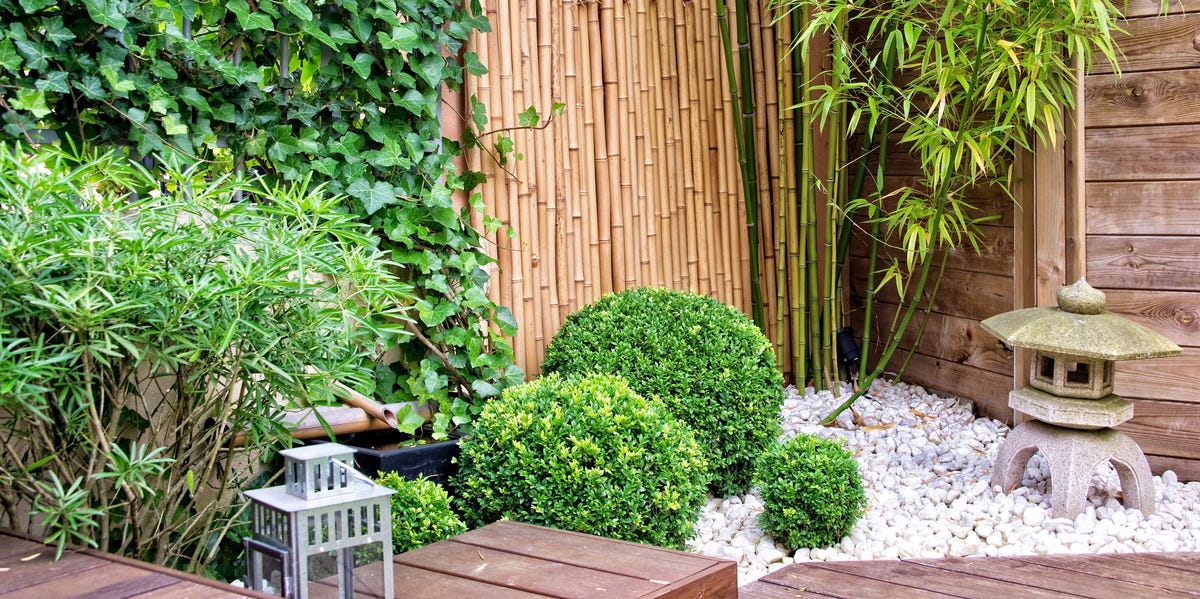 3 Simple Tricks When Designing Small Gardens