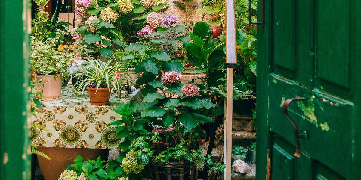 One Thing To Avoid With A Small Garden, According To Jo Thompson