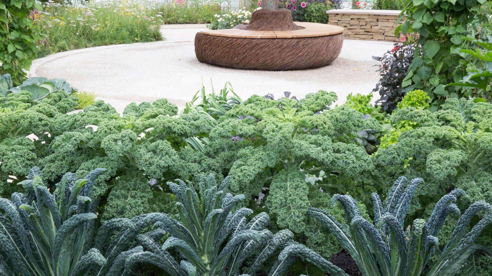 Vegetables to plant in October: 7 picks from a pro grower