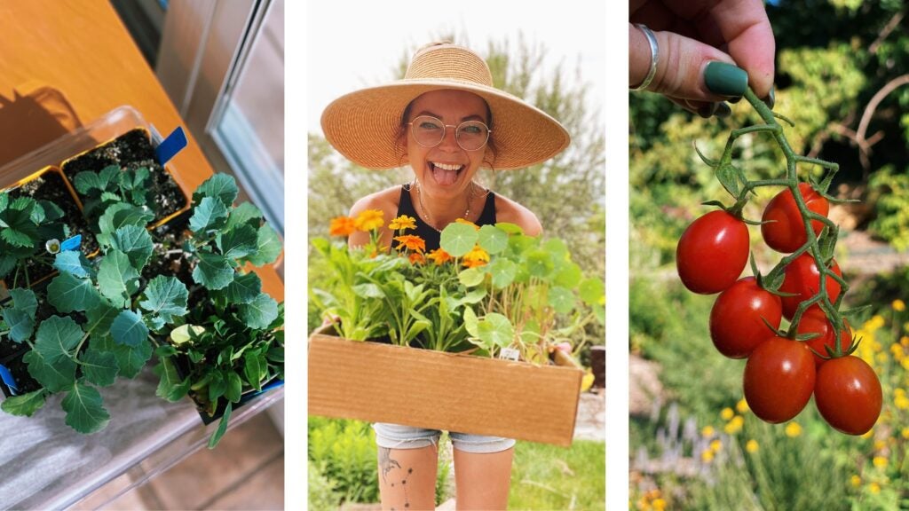 How to Grow and Keep Plants Alive