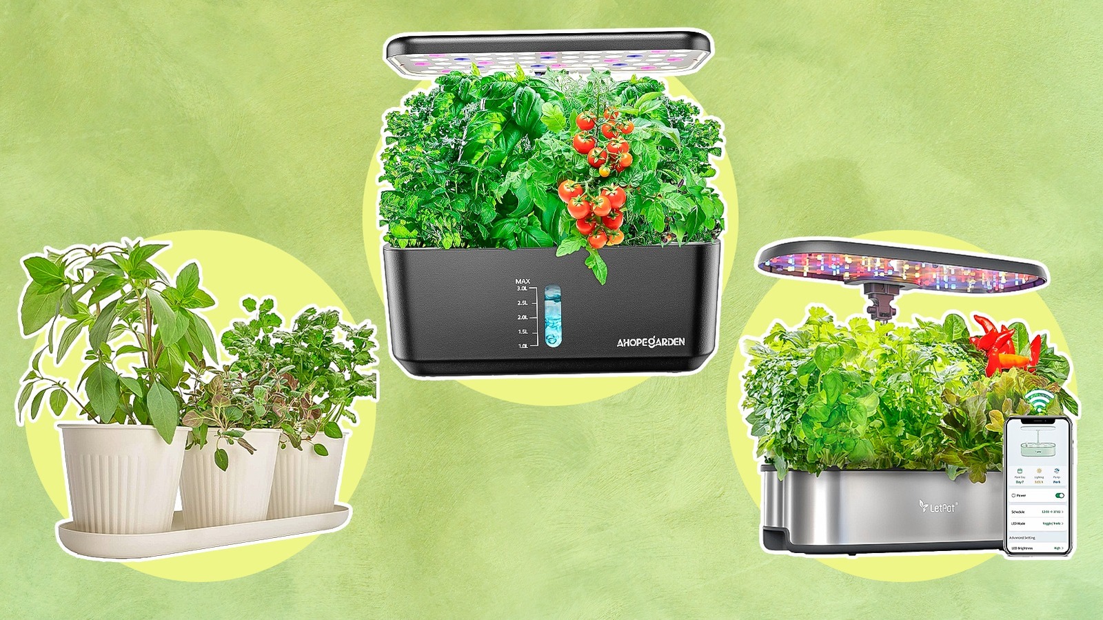 9 Absolute Best Indoor Garden Kits, According To Reviews