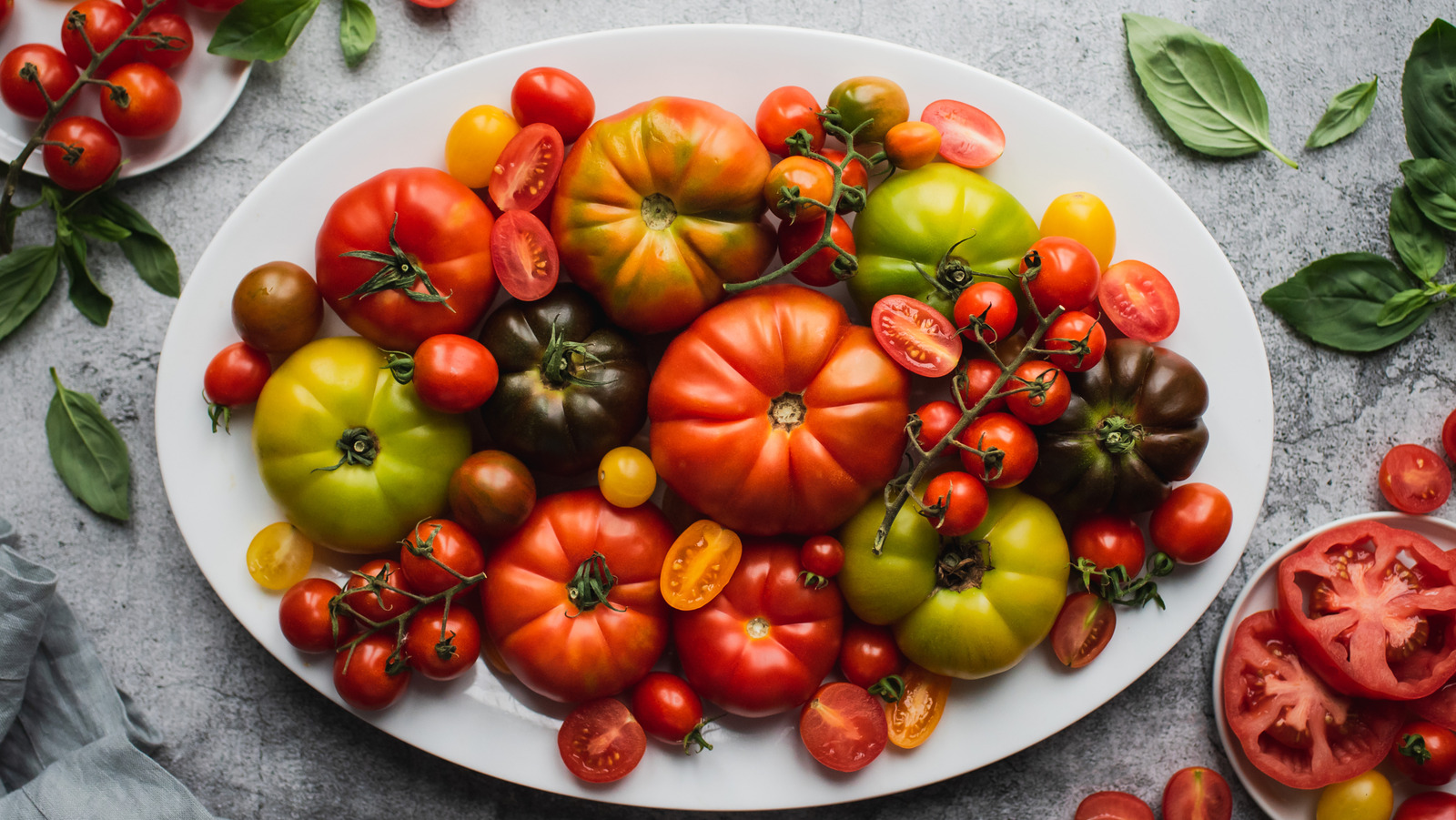 These Are The Easiest 9 Tomato Plants To Grow