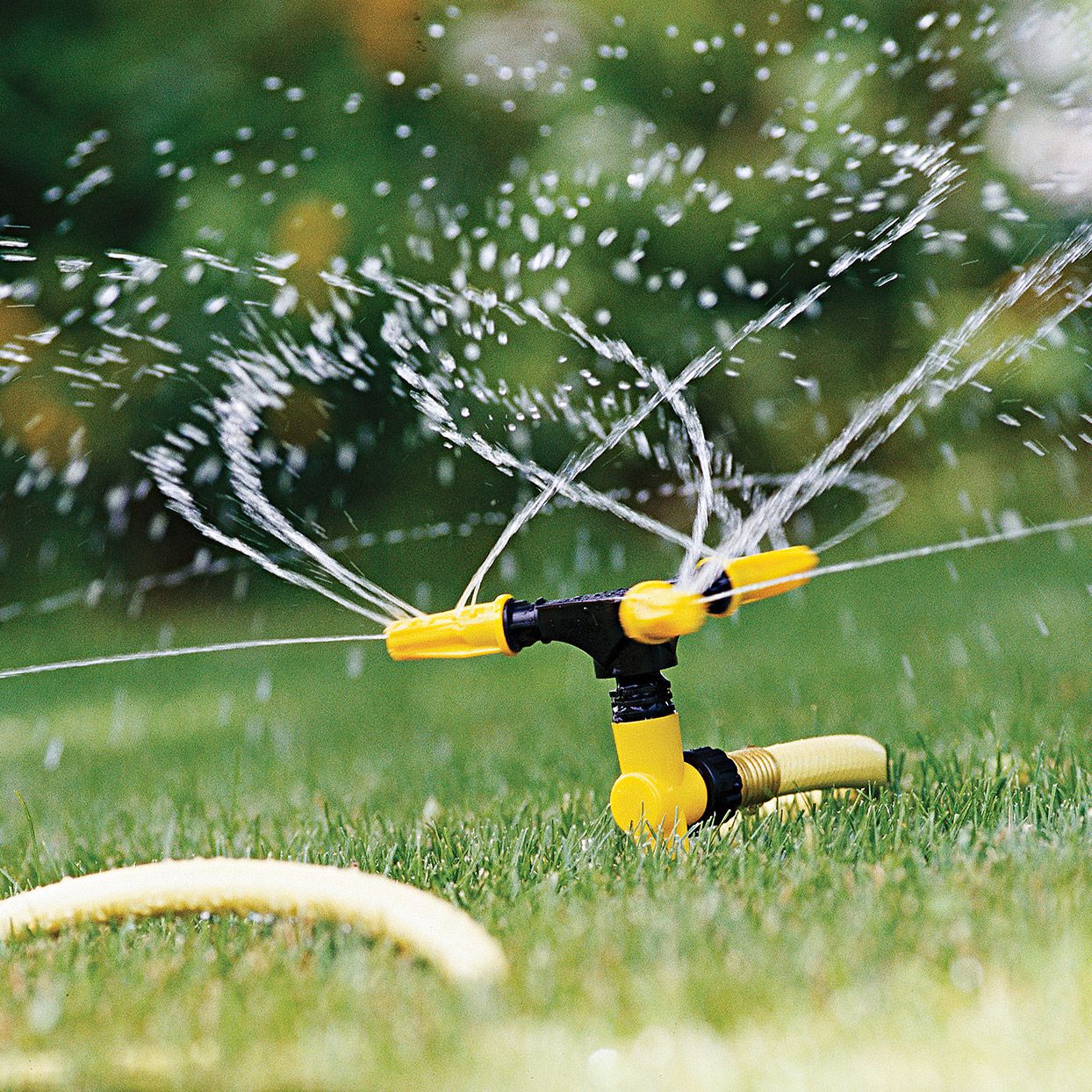 6 Beginner Lawn Care Mistakes to Avoid