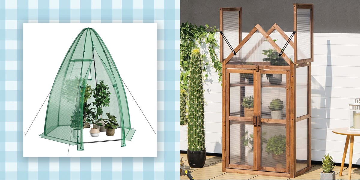 12 Mini Greenhouses From Amazon, Starting at $21