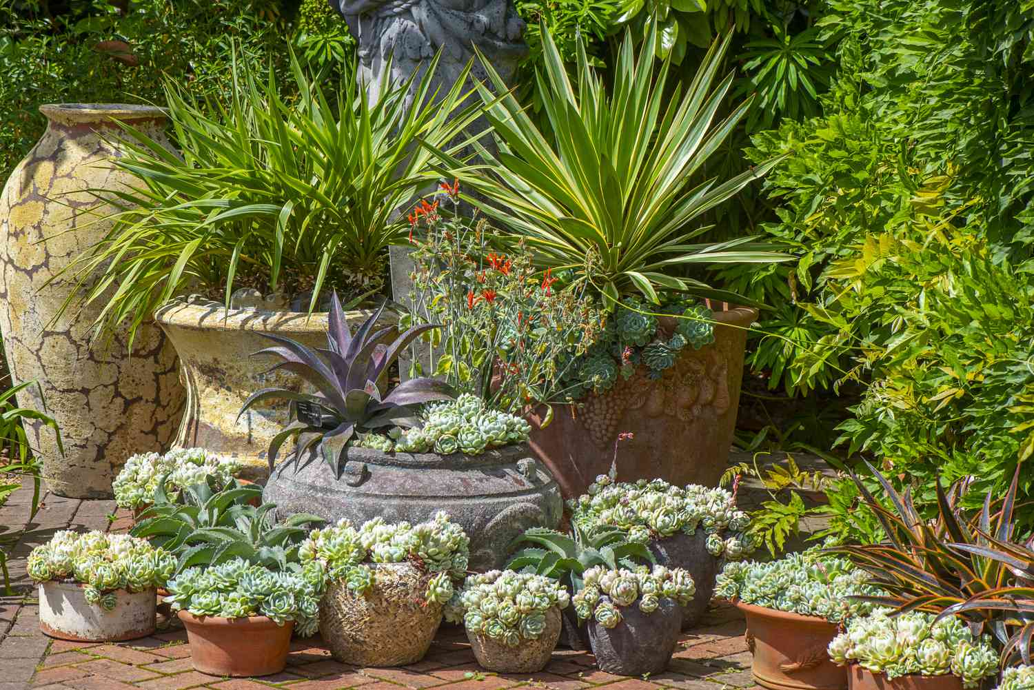 25 Container Garden Ideas to Enhance Your Outdoor Space