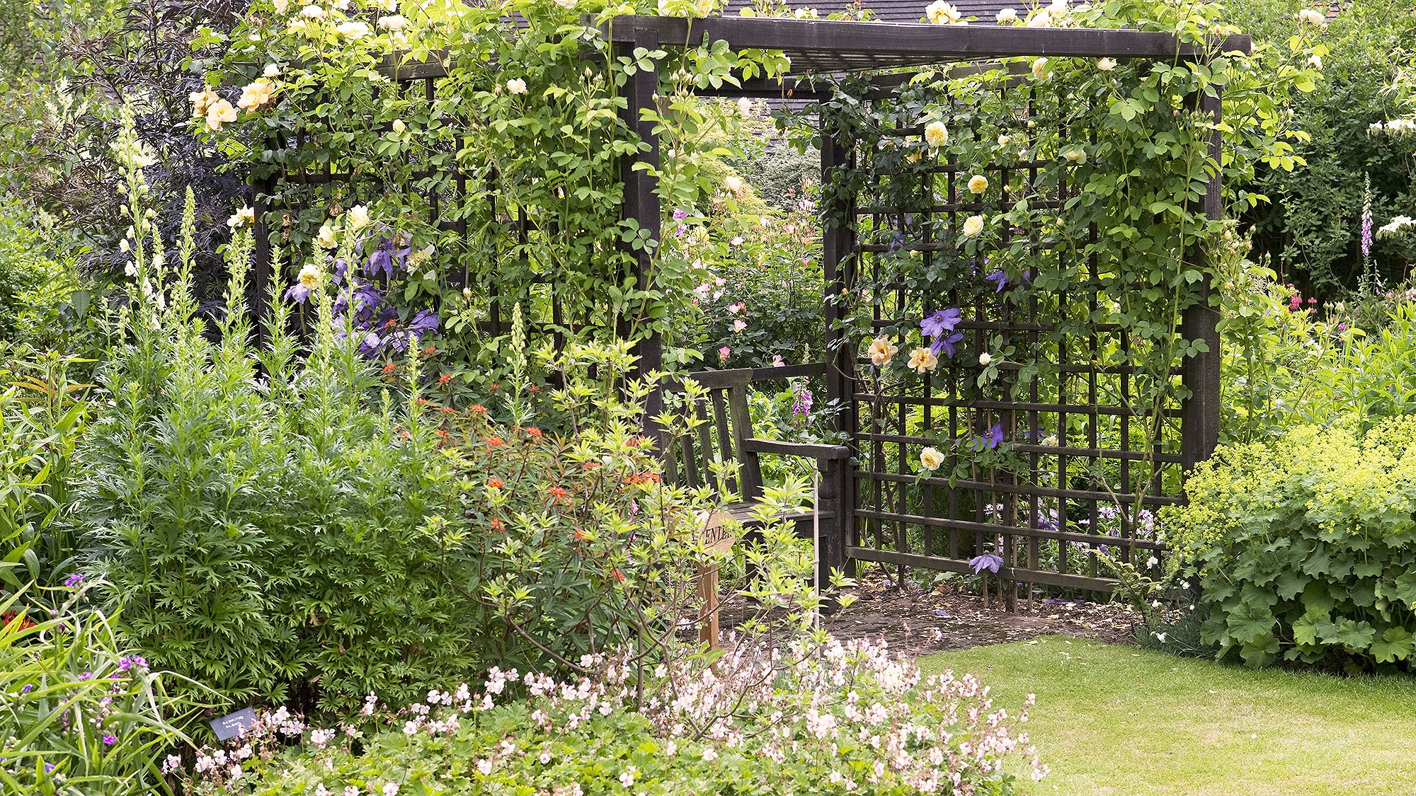 Trellis ideas: 17 beautiful ways to add vertical interest