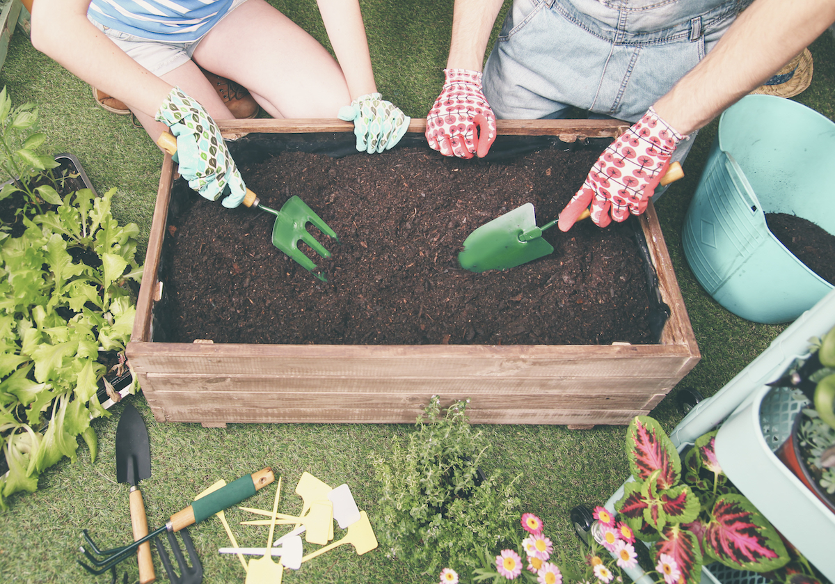 Gardening for Beginners: Bob Vila’s Best Tips