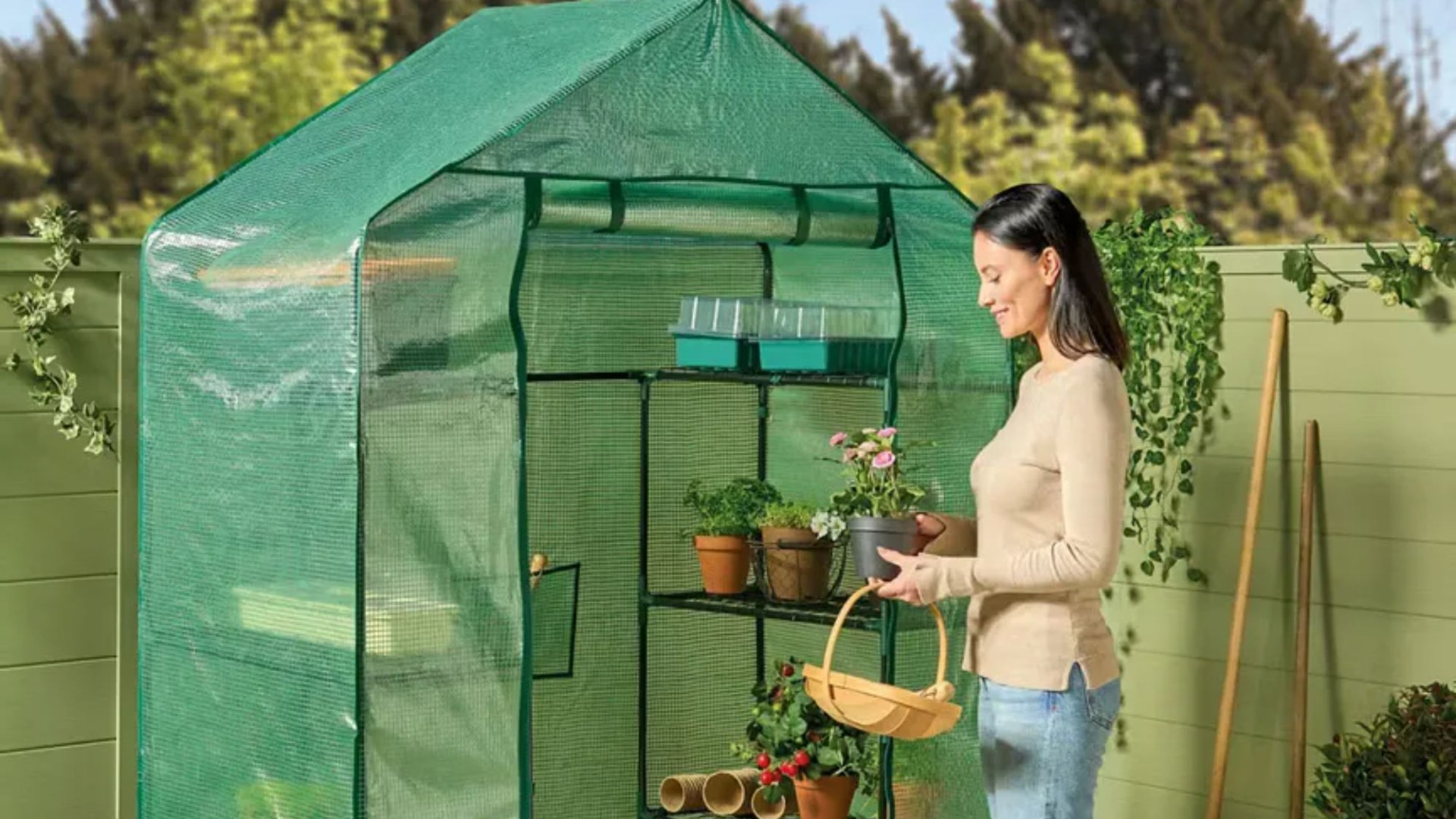 Aldi’s selling a walk-in greenhouse for £30