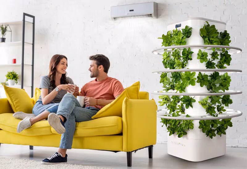Hydroponics Indoor Garden Designs : nutraponics