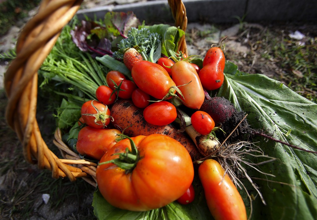 Osceola County things to do, starting Aug. 8