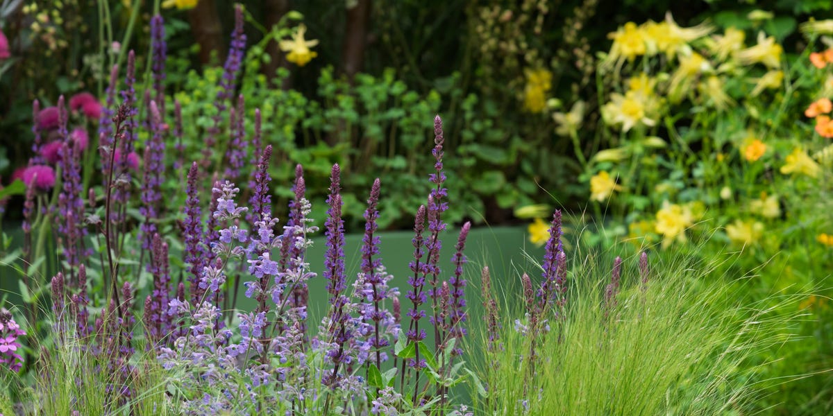 4 Professional Garden Designers On How To Effectively Use Colour In A Small Space