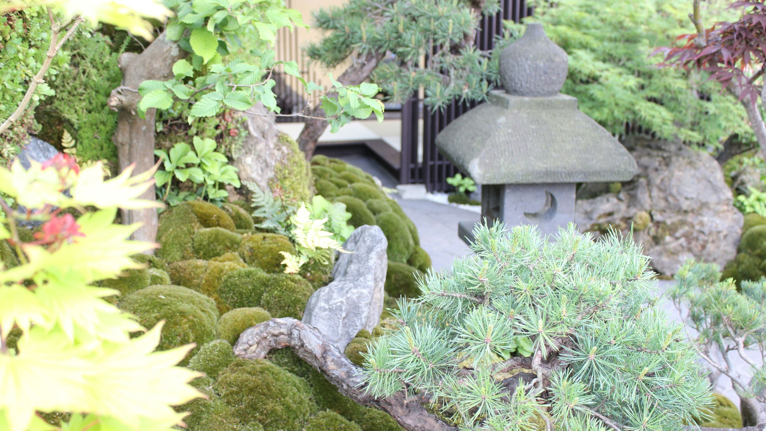 7 small Japanese garden ideas โ planting and landscaping tips