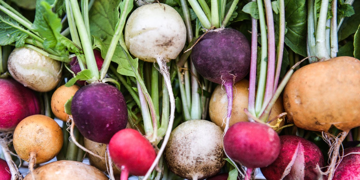 7 Easy Vegetables To Plant In September For A Longer Harvest