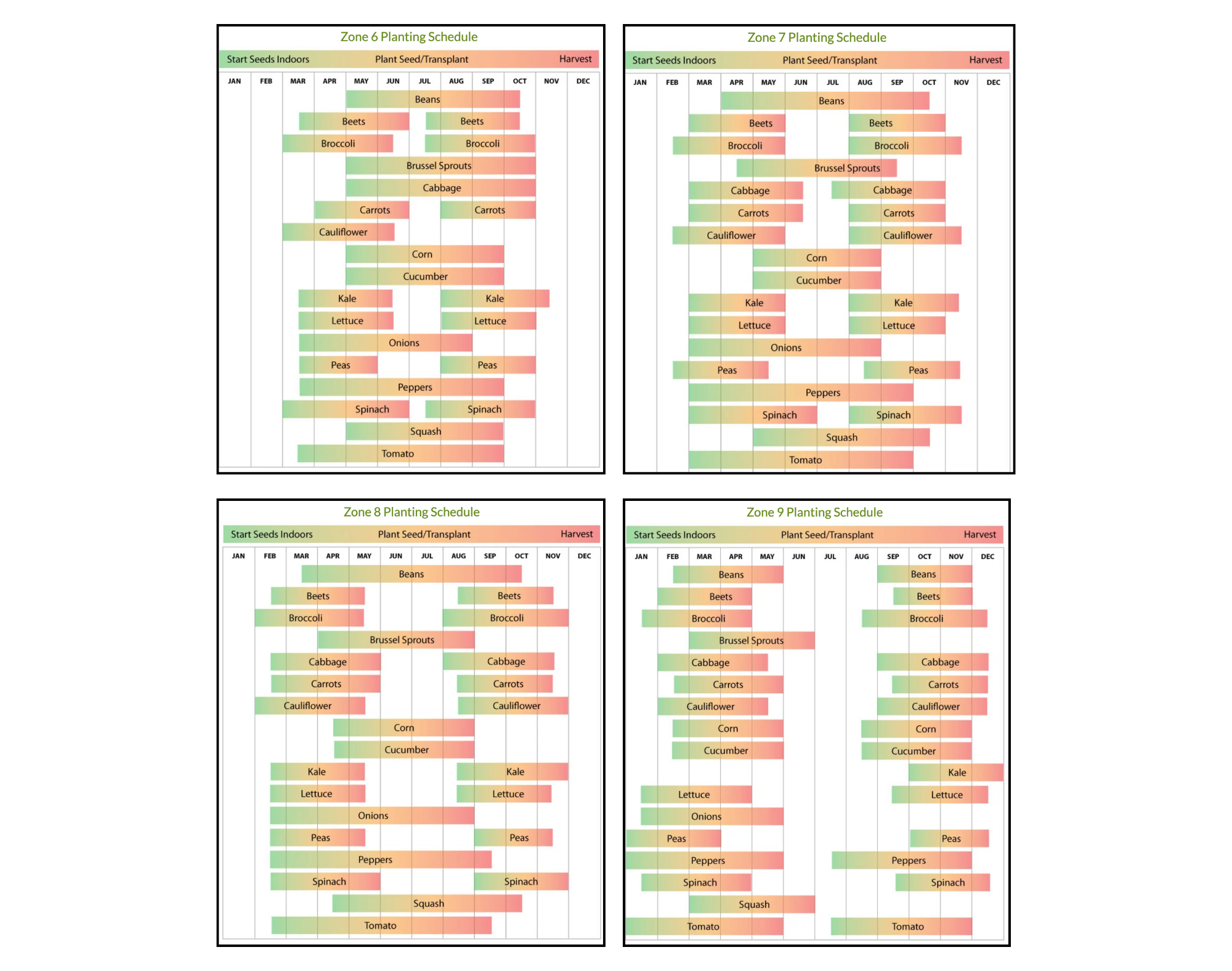 When and what to plant in Texas — see by zone