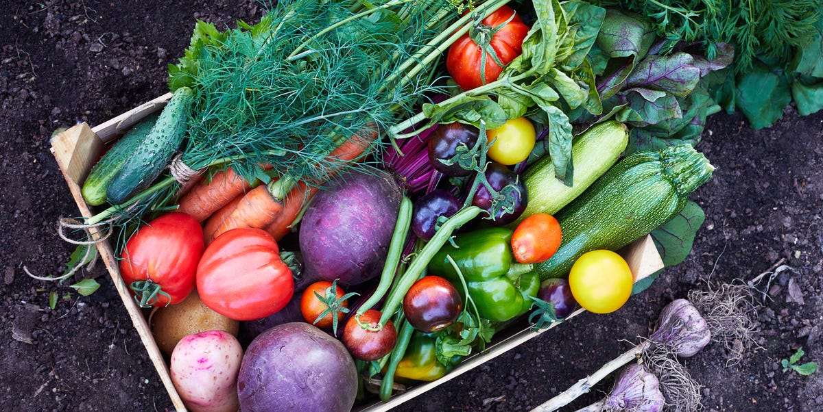 Costco Is Selling a Mini Greenhouse for Gardeners