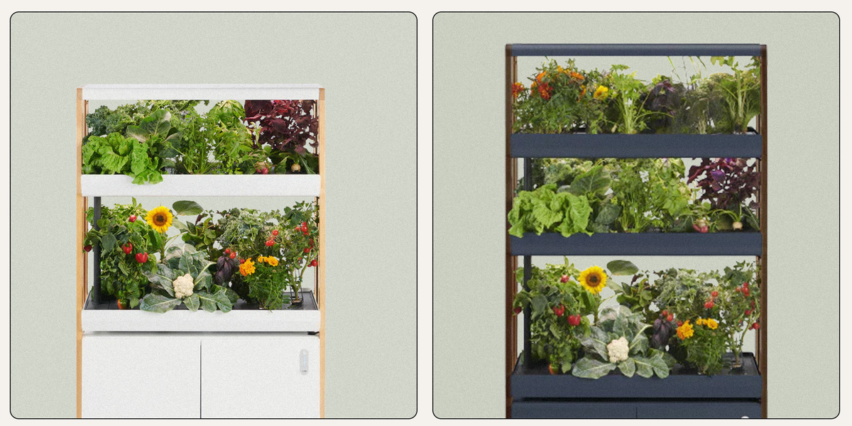 We Tested the Internet’s Favorite Indoor Vertical Garden—Yes, It’s Worth It