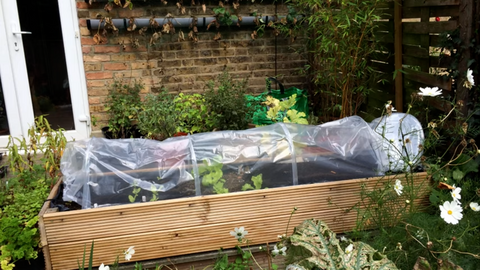 6 Ways to Protect Plants From Frost and Extend the Growing Season