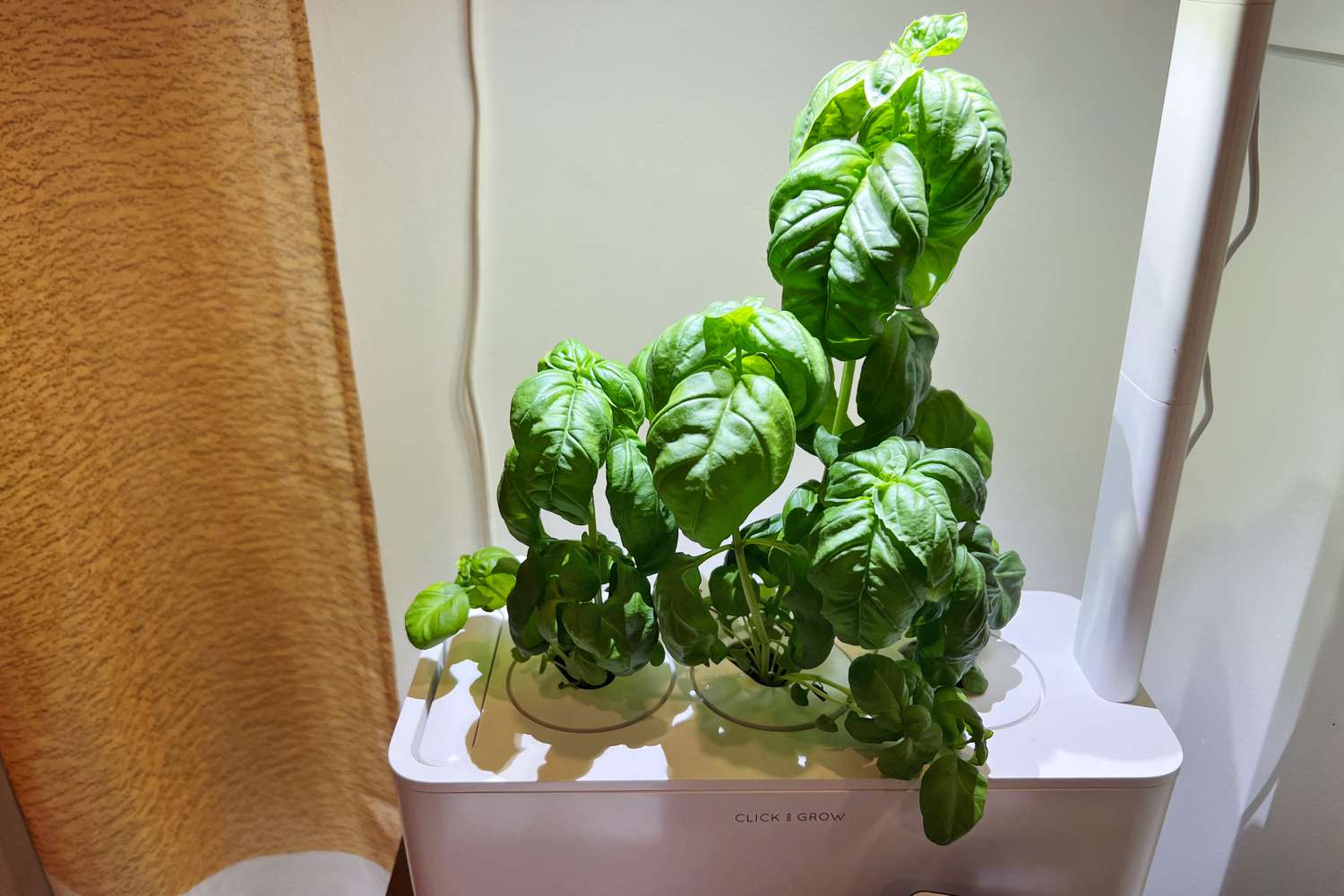 The Best Indoor Gardening Systems We Tested