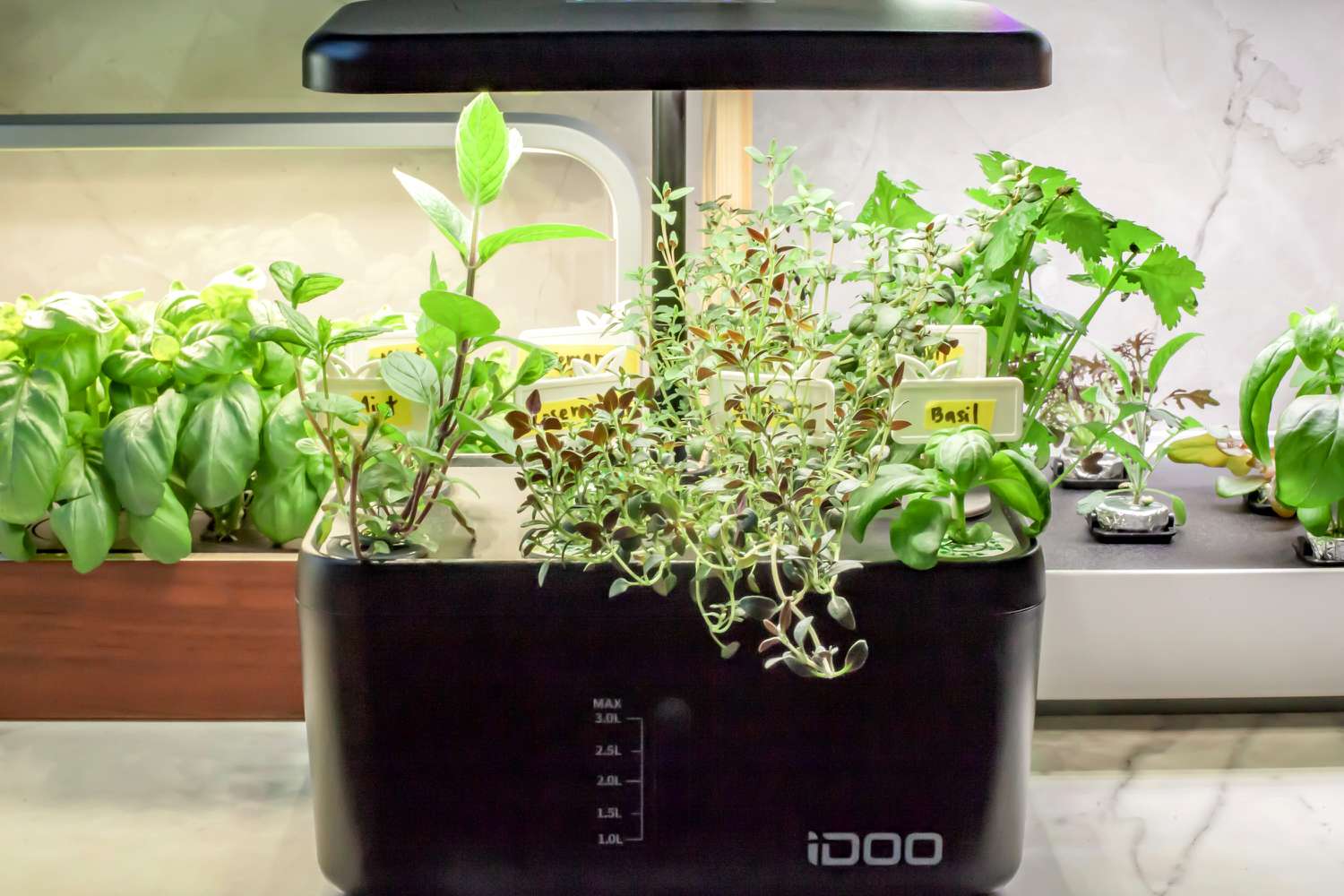 The 4 Best Indoor Herb Gardens of 2025, Tested & Reviewed