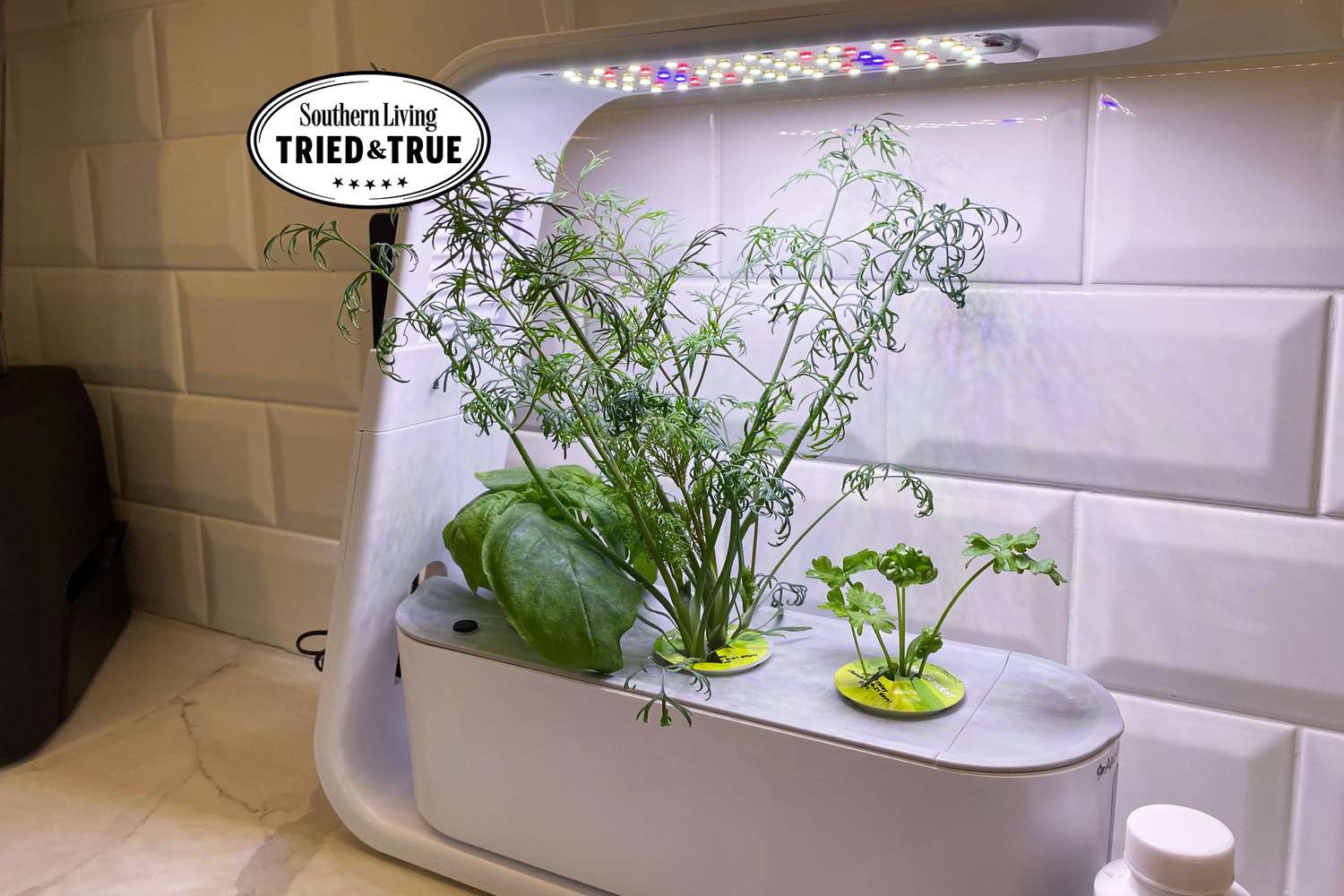 The 6 Best Indoor Gardens, According To Our Testing