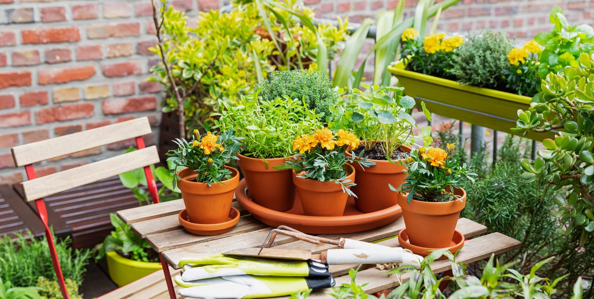 40 Best Small Garden Ideas and Tips for Small Outdoor Spaces