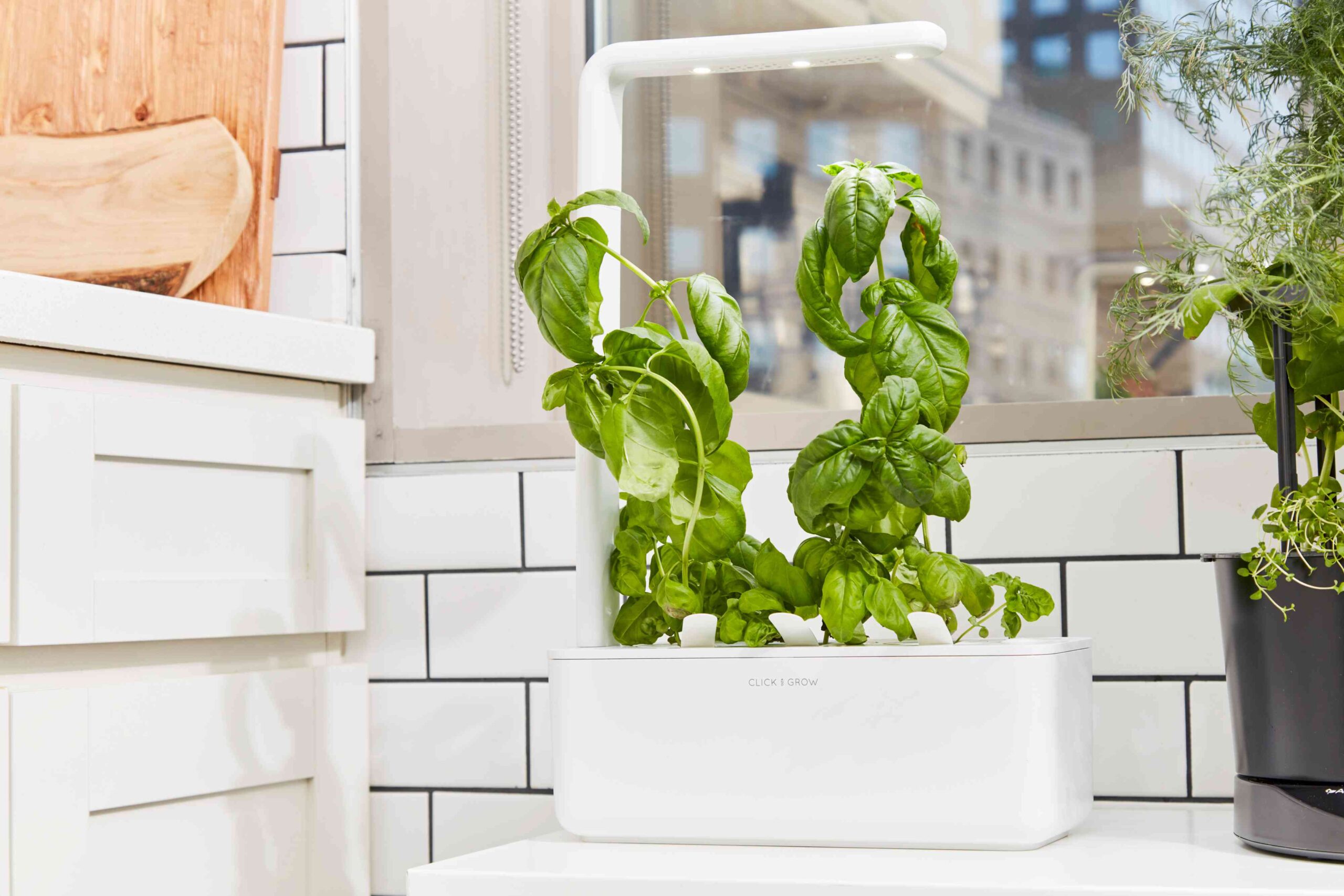 The 6 Best Indoor Garden Systems The Spruce Has Tested