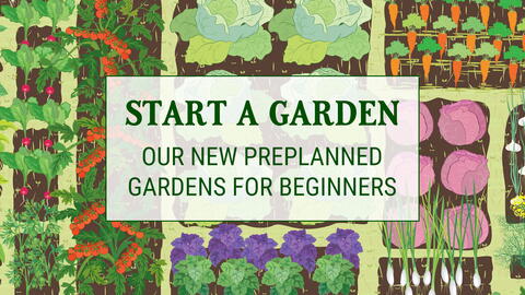 New Preplanned Garden Plans Designs for Beginners