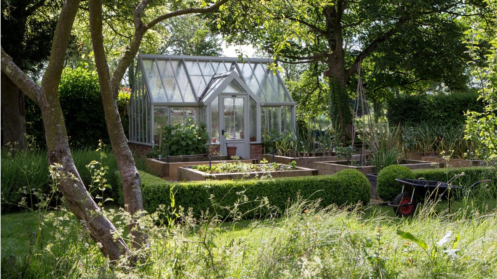 Greenhouse mistakes: 5 of the most common errors to avoid