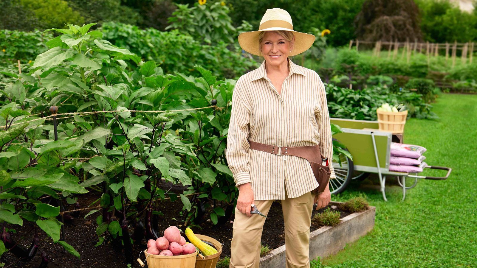These are Martha Stewart’s top tips for beginner gardeners