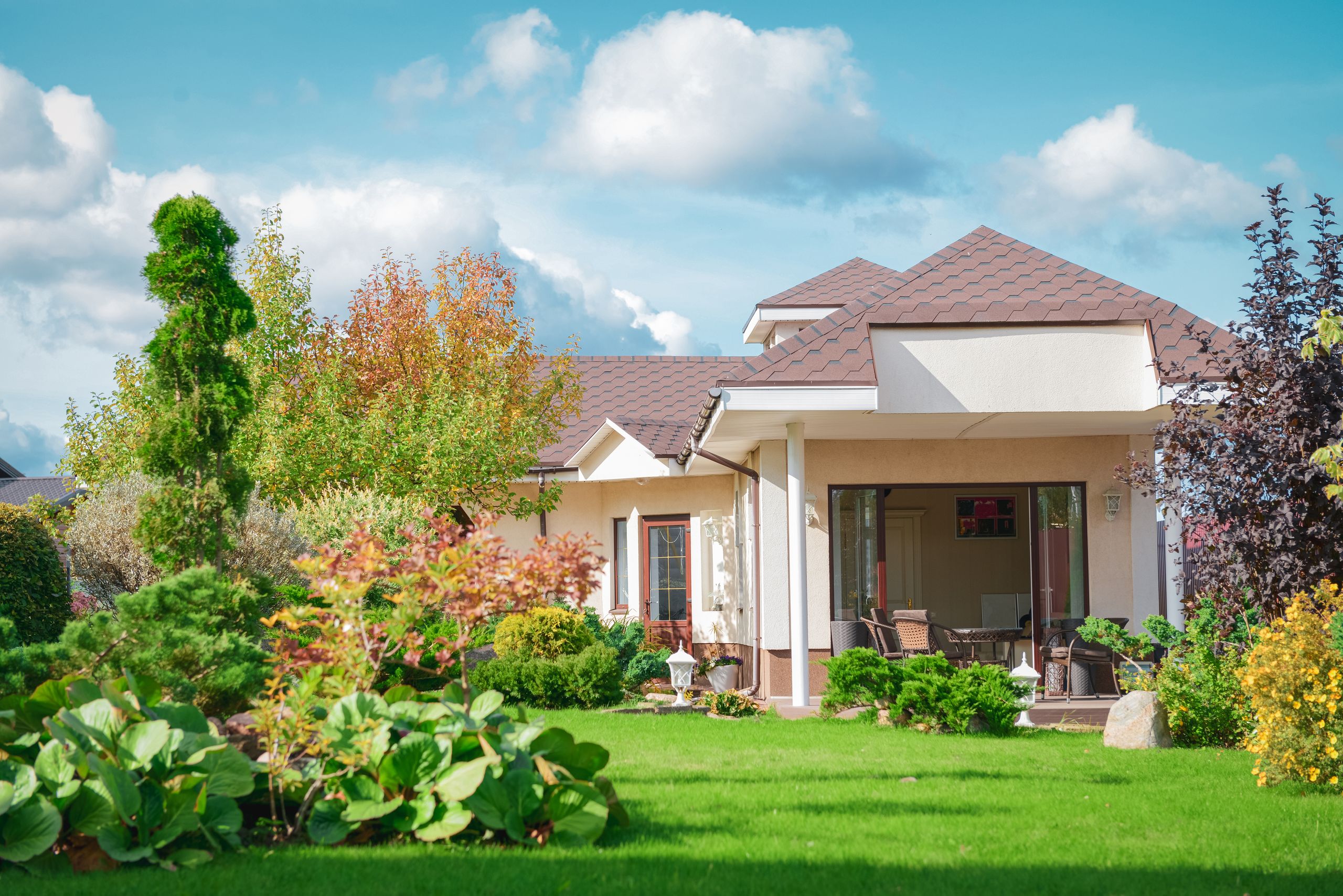 10 gardening mistakes made by beginners