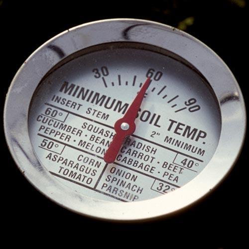 Patience pays off when planting vegetables in Oregon