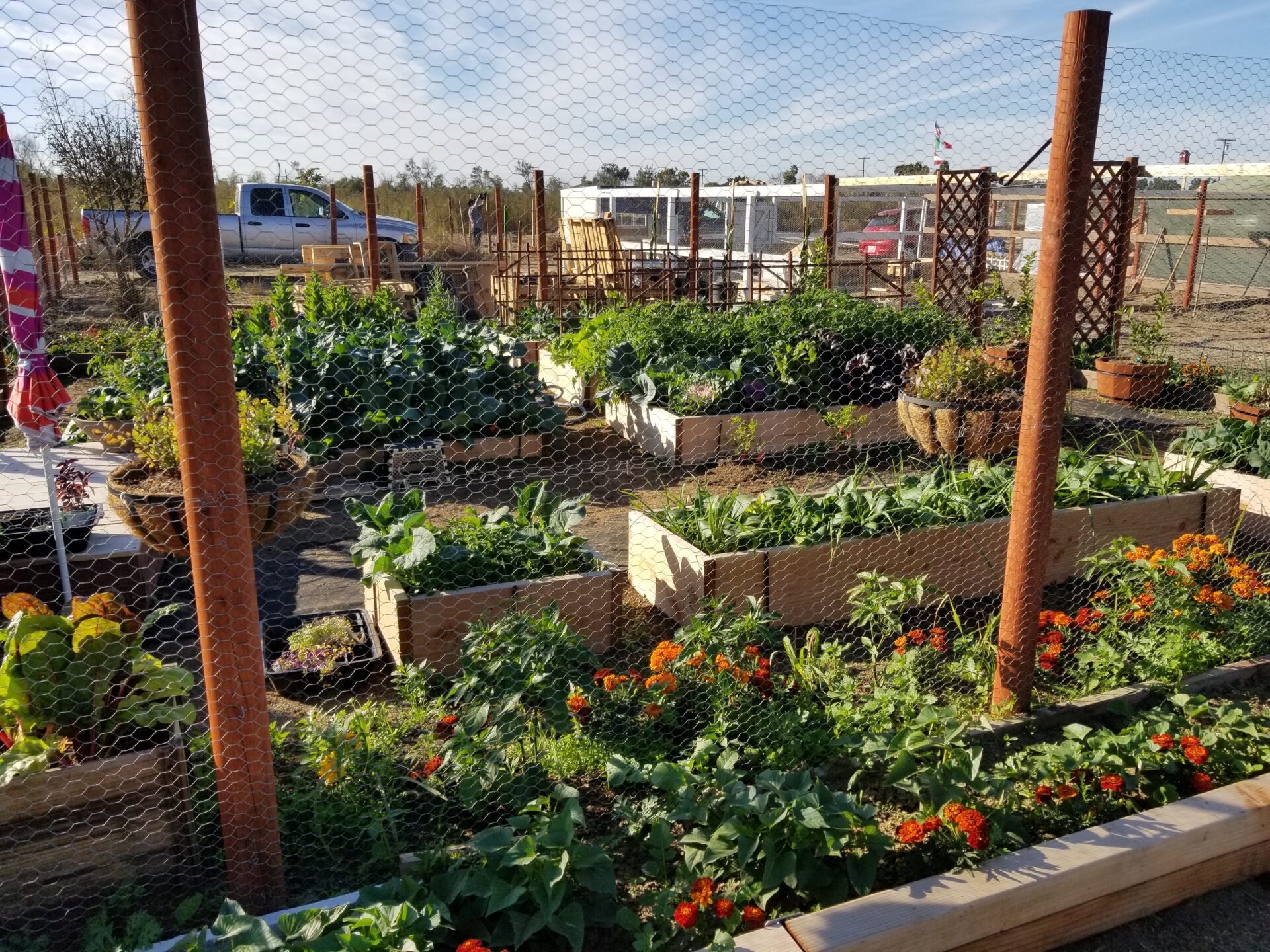 County Secures New TJRV Garden Operator | News