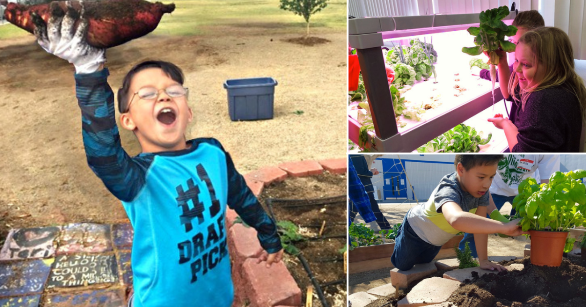 ‘Green Our Planet’ transforms local classrooms with hydroponics gardening