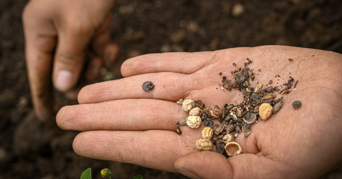 Thinking about gardening in CT? Here are some tips for beginners and green thumb wannabes