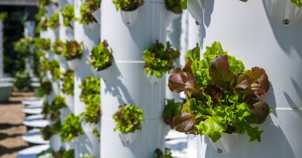Want to learn indoor gardening? LA City Council greenlights new hydroponics project