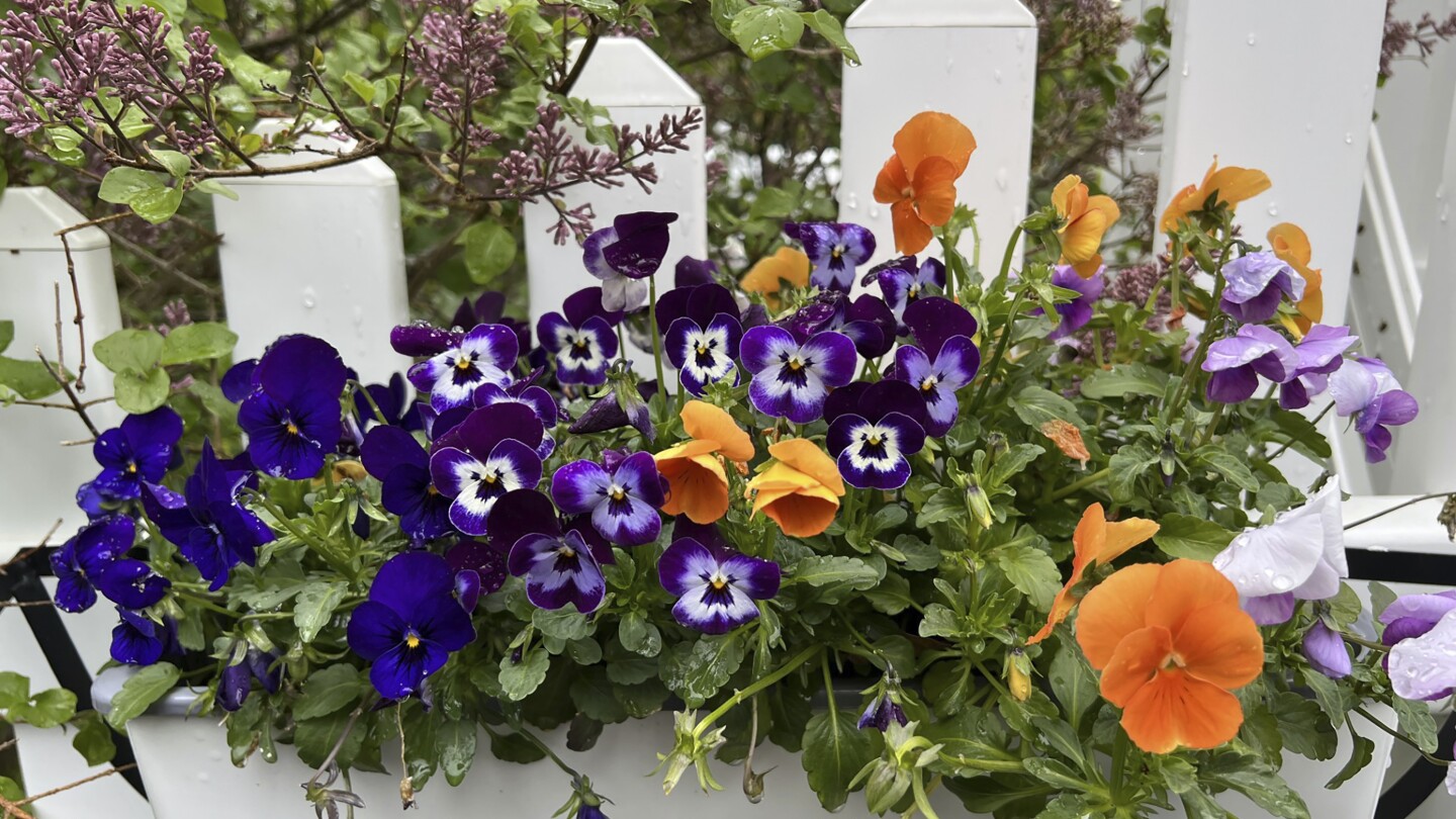 Starting a garden is a healthy and enjoyable New Year’s resolution